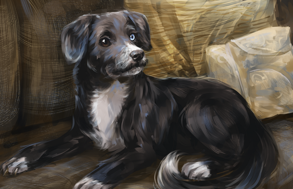commission for fiona: charlie the dog